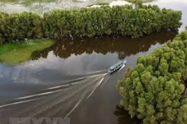 Lanzan en Vietnam concurso de pintura en respuesta al cambio climático