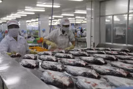 Califica el Banco Mundial de positivo el panorama económico de Vietnam 