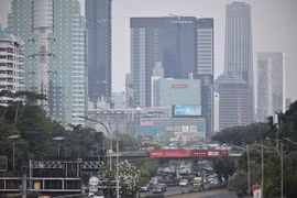 Aumenta en Indonesia tierra quemada por incendios forestales en 2019