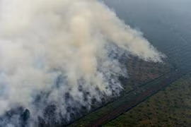 Indonesia refuerza lucha contra incendios forestales