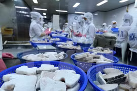 Señales positivas para exportaciones de Da Nang en el último trimestre de 2019