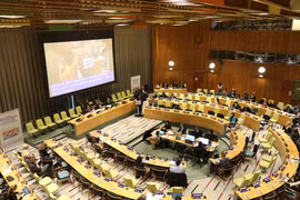 Comparte Vietnam en la ONU experiencias de desarrollo sostenible 