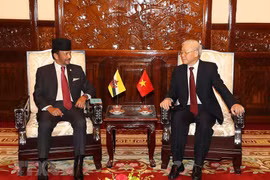 Ampliarán Vietnam y Brunei el comercio bilateral