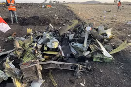 Ofrece Indonesia asistencia para investigación sobre accidente aéreo en Etiopía