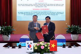 Vietnam y Corea del Sur fortalecen el intercambio de información sobre políticas exitosas