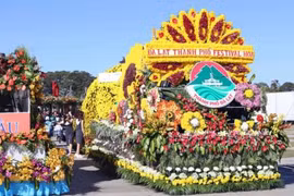 Festival de Flores de Da Lat concluye con éxito