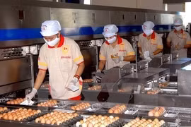 Alcanzarán exportaciones ganaderas de Vietnam 1,2 mil millones de dólares este año