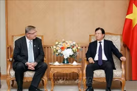 Estimula Vietnam inversión extrajera en proyectos de energía renovable 