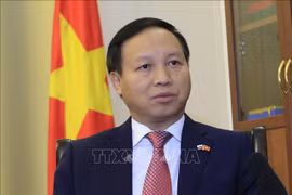 Preparado Vietnam para nuevas victorias