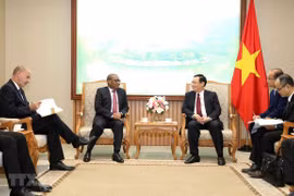 Vietnam se propone intensificar lazos multisectoriales con Sudáfrica y Nigeria
