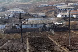 Vietnam entrega cinco mil toneladas de arroz a Corea del Norte