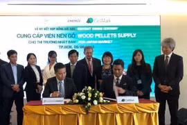 Impulsa empresa vietnamita exportación de pellets de madera al mercado japonés