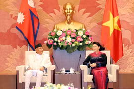 Proyectan apertura de ruta aérea directa entre Vietnam y Nepal 