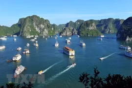 Desarrolla Quang Ninh nuevos productos para promover marca turística local