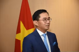Asiste Vietnam a reuniones del Grupo encargado de Iniciativa para Integración de ASEAN