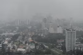 Cierra Indonesia más de 30 campos de explotación forestal para reducir incendios 