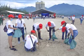 Participan más de 800 voluntarios vietnamitas en programa medioambiental 