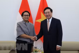 Ratifica Indonesia apoyo a Vietnam como presidente de ASEAN en 2020