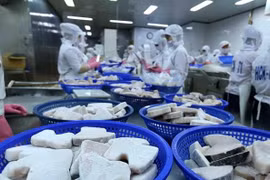 Destaca oficina de cooperación de Japón ritmo de crecimiento sólido de Vietnam