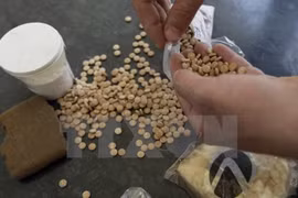 Incautan más de 90 mil pastillas de droga en frontera entre Vietnam y Laos