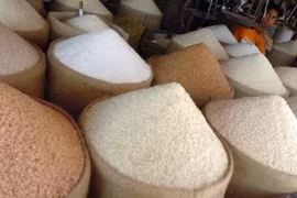 Tailandia comenzará programa de garantía de precios de arroz en octubre