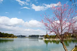 Da Lat fue admitida como miembro de la Organización para la Promoción del Turismo Asia-Pacífico