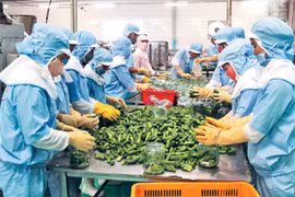 Vietnam ingresa 3,62 mil millones de dólares por ventas de productos agrícolas en mayo