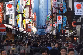 Reportan importante crecimiento del turismo vietnamita en Japón