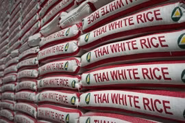 Superan exportaciones de arroz de Tailandia los 11 millones de toneladas en 2018