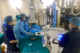 Expertos vietnamitas y extranjeros intercambian experiencias sobre tratamiento de cáncer