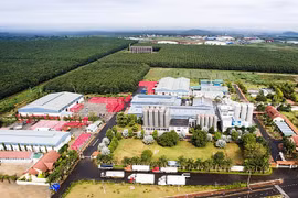 Crecen 13,7 por ciento ventas minoristas en provincia vietnamita de Dak Lak