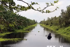 Recibe Vietnam casi ocho millones 500 mil turistas extranjeros en la primera mitad de 2019