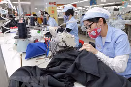 Destacan nivel de las relaciones económicas y comerciales entre Vietnam y Rusia