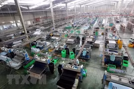 Destacan potencial de cooperación económica y comercial entre Vietnam y Japón 