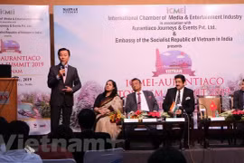 Divulgan el turismo vietnamita en la India
