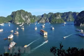 Reconocen a la Bahía vietnamita de Ha Long entre las atracciones más populares de Asia