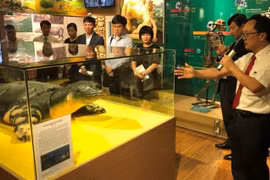 Exhiben en Vietnam copia de la tortuga sagrada del lago Hoan Kiem