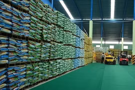 Inauguran mayor planta de fertilizantes bio-orgánicos en el norte de Vietnam