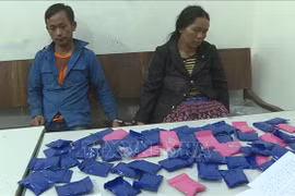 Capturan en Vietnam narcotraficantes laosianos e incautan 12 mil pastillas de droga 