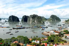 Abren en Vietnam servicio para contemplar la bahía de Ha Long desde helicópteros