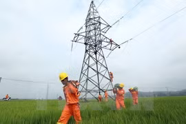Invierten en Vietnam más de cinco mil millones de dólares en electrificación rural