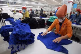 Recomienda el Banco Asiático de Desarrollo a Vietnam continuar su reestructuración económica