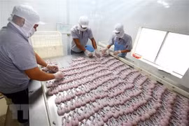Reducen exportaciones de productos acuáticos de Vietnam