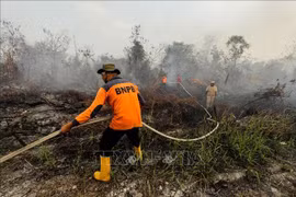 Más de 39 mil personas afectadas por humo en Indonesia
