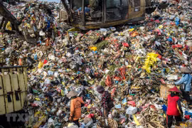  Devuelve Indonesia a Australia más de 200 toneladas de basura