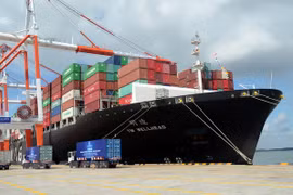 Aumenta el intercambio comercial entre Vietnam y la India