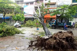 Premier de Vietnam urge a implementar medidas para superar secuelas del tifón Wipha