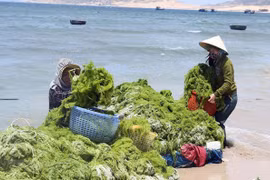 Proyectan Vietnam y Corea del Sur hacia una economía verde