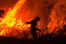 Impone Indonesia pago de compensación multimillonaria a culpables de incendios forestales