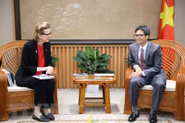Reafirman esfuerzos de Vietnam por cumplir Objetivos del Milenio
